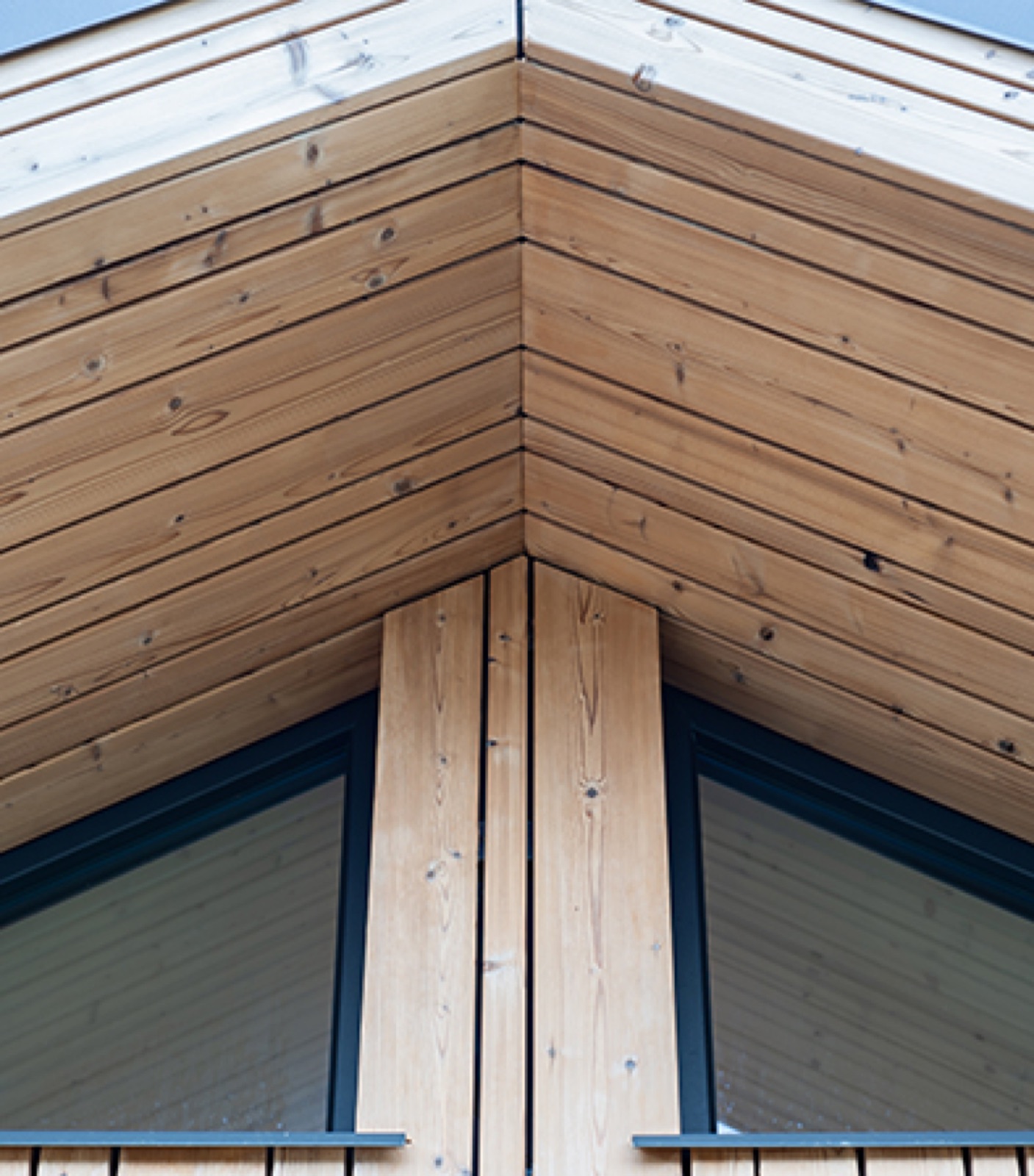Van Viking tot vakmanschap: Thermowood als materiaal voor tinyhouse