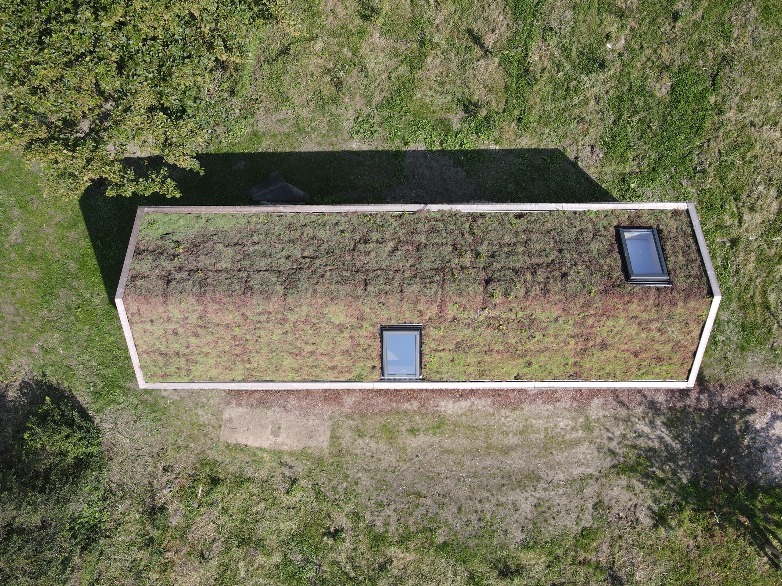 Tinyrebel met sedumdak in het landschap